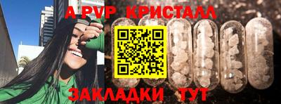 ешки Бийск